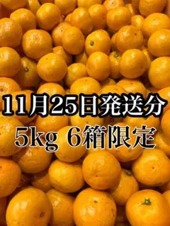 淡路島産　早生みかん　家庭用　小玉（S以下）　5kg