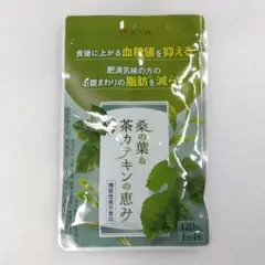 ☆新品未開封品☆和漢の森 桑の葉＆茶カテキンの恵み 120粒×1袋