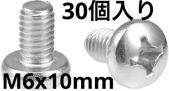 即日発送！ボルト M6x10mm 機械ネジ十字穴付きなべ 機械ねじ 30個