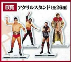 【未開封】全日本プロレス50周年記念くじ　B賞