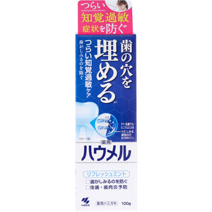 【まとめ買う】薬用ハミガキ ハウメル フレッシュミント 100g×40個セット