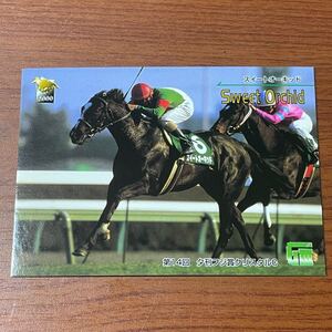 競馬トレカ サラブレッドカード 2000年 スイートオーキッド 047