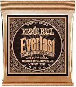 【正規品】 ERNIE BALL 2546 アコースティックギター弦 (12-54) EVERLAST COATED PHOSPH