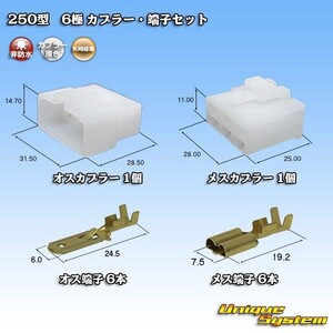 矢崎総業 250型 6極 カプラー コネクター・端子セット