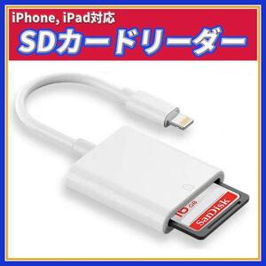 SD カードリーダー iPhone データ転送 ライトニング アダプタ iPad