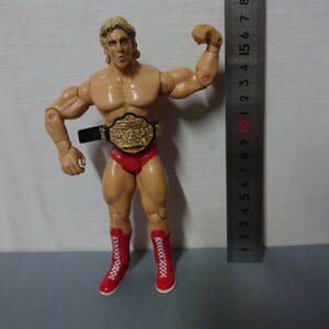 WWE 2003 リック・フレアー ジャックスパシフィック社 JAKKS Pacific, Inc. 格闘技 プロレス アクションフィギュア 関節可動　13