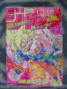 ドラゴンボール DRAGON BALL 表紙＆巻頭カラー掲載 週刊少年ジャンプ１９９１年２１・２２号オリジナル(復刻版ではありません)　極美品？