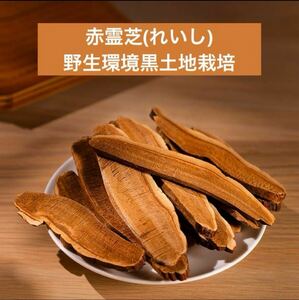 赤霊芝スライス100g 野生環境黒土地栽培　漢方　薬膳　マンネンタケ　万年茸