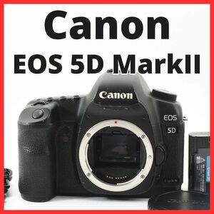 E29/5704-11 / キャノン Canon EOS 5D MarkII ボディ
