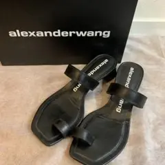 【格安、早い者勝ち】Alexander wang アレキサンダーワン パンプス