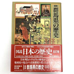 図説　群馬県の歴史　河出書房新社　1989年発行　初版　帯付き　郷土史　202408-10