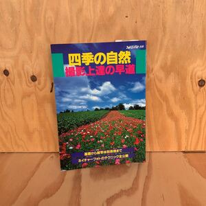 ☆いＡ‐190109　レア〔四季の自然　撮影上達の早道〕画面の分割・配分を考える