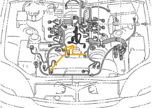 新品未使用！ トヨタ純正 セルシオ 30後期 UCF31 エンジンワイヤ エンジンハーネス レクサス LS430 UCF30 00516-2