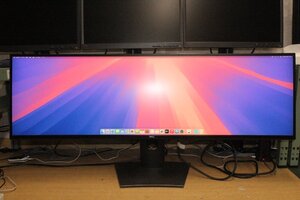 【DELL】UltraSharp 49インチ曲面デュアルQHDモニター [U4919DW]