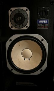 YAMAHA NS-021