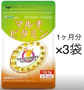 ★送料無料★マルチビタミン 約3ヶ月分(約1ヶ月分30粒入×3袋)シードコムス サプリメント 美容 健康 ビタミン類12種類 ビオチン