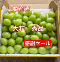 山梨産直　シャインマスカット　大粒秀品