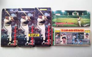 破損・劣化・押印あり 王貞治 ベースボールカードアルバム 一本足打法の栄光 プロ野球カード カルビー 巨人 ジャンク