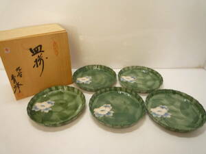 ☆九谷焼　皿揃　五枚　青峰窯　陶器　皿　共箱入　直径 19cm　食器　和食器　花絵　工芸品