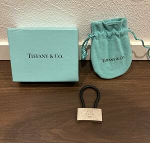 TIFFANY＆Co. ティファニー 2001年限定 錠 キーリング チャーム