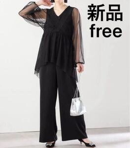 新品 kaene×SHIPS セレモニー対応可2WAY シースルー オールインワン FREE