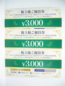 ビジョン　株主優待券　9,000円分