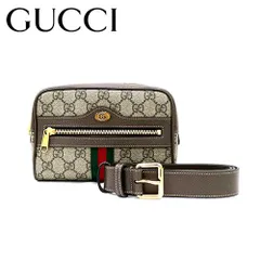 【新品・未使用】GUCCI オフィディア GGスプリーム ミニ バッグ