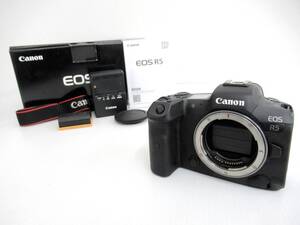 【Canon/キヤノン】亥④360//EOS R5 ボディ/充電器/バッテリー/美品