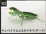 いきもの大図鑑 かまきり04 ナンベイマルムネカマキリ(ダーク)1種単品　ガシャポン