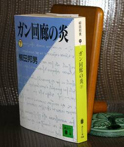 ガン回廊の炎　下 （講談社文庫） 柳田邦男／〔著〕