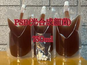 PSB(光合成細菌) 750ml 培養酵母10錠付【送料無料】24