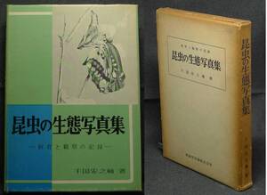 【超希少】【初版】古本　昆虫の生態写真集　飼育と観察の記録　著者：千石安之輔　暁教育図書（株）