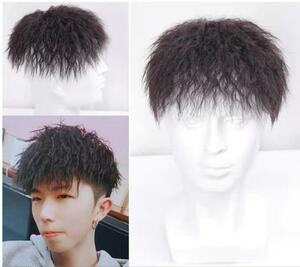 新入荷 上質 メンズウィッグ 人毛 wig ショートヘアー 永久カール 人工頭皮 かつら ふわふわ かっこいい 自然軽量 つけ毛15*15/18*20選択