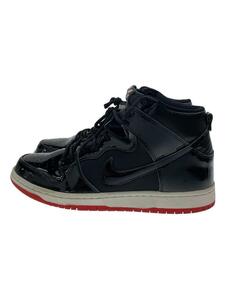 NIKE◆SB ZOOM DUNK HIGH TR QS/ズームダンクハイ/ブラック/AJ7730-001/29cm/BLK