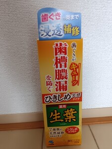 ☆新品☆歯槽膿漏を防ぐ☆薬用ハミガキ☆生葉☆ひきしめ実感タイプ☆100g １本☆歯磨き粉☆小林製薬☆