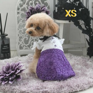 新品タグ付き　XS 　アナスイ　ワンピース　りぼん　小型犬　ドッグウェア　犬　服　送料無料　ドレス　リボンタイブラウスワンピース