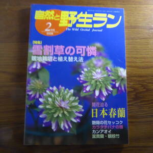 ＹＮ1-240910☆自然と野生ラン 2006年2月号　