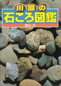 川原の石ころ図鑑 渡辺一夫 ポプラ社