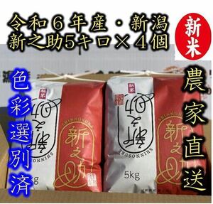 新米・令和6年産　新潟　新之助　白米5kg × 4個★農家直送★色彩選別済031