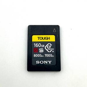 【全額返金保証】【最速発送】Sony CEA-G160T [160GB] 超美品 動作確認済