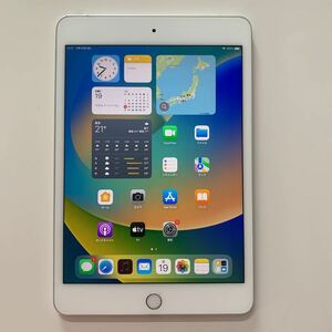 iPad mini5 64GB A2124 Wi-Fi+Cellular 7.9インチ 第5世代 中古 SIMフリー 番号：pd040 ジャンク