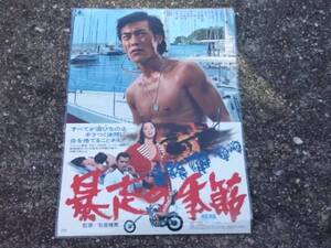 暴走の季節ポスター 岩城滉一 ＣＯＯＬＳ クールス 矢沢永吉