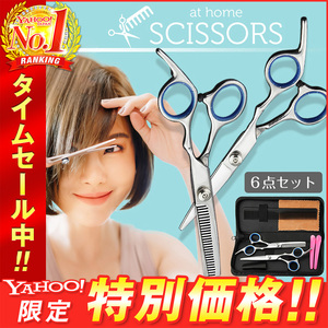 散髪 はさみ すきばさみ ヘアカット 6点セット セルフカット コーム クリップ