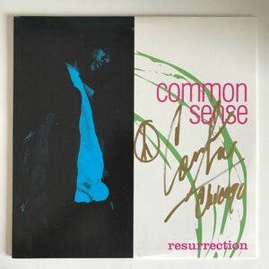 [極レア OG 2ndアルバム 直筆サイン入り] Common Sense - Resurrection