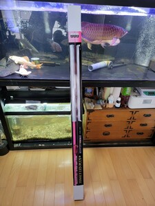 ゼンスイ ZENSUI LED PLUS 150cm ビューティールクス