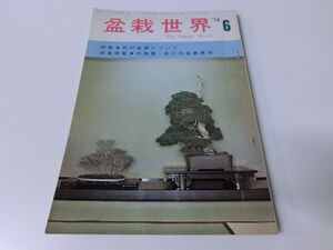 盆栽世界 1974年6月号