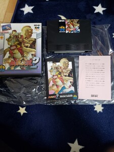 SNK NEOGEO ネオジオ ロムカセット 餓狼伝説2 新たなる闘い ネオジオROM ゲームソフト 当時 中古 長期