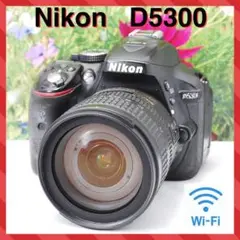 ❤️WiFi転送OK❤️Nikon ニコン D5300 レンズキット❤️