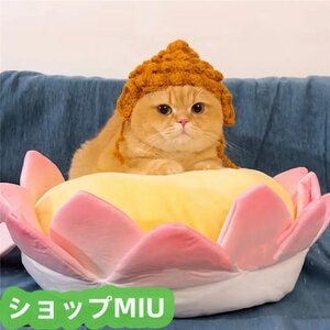 美品 猫です ペット用帽子です 美品登場★ 可愛いです ハスの花の形をしてい ペット用座布団です