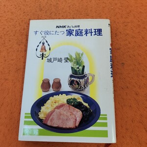 E55-102 NHKきょうの料理 すぐ役にたつ家庭料理 城戸崎 愛